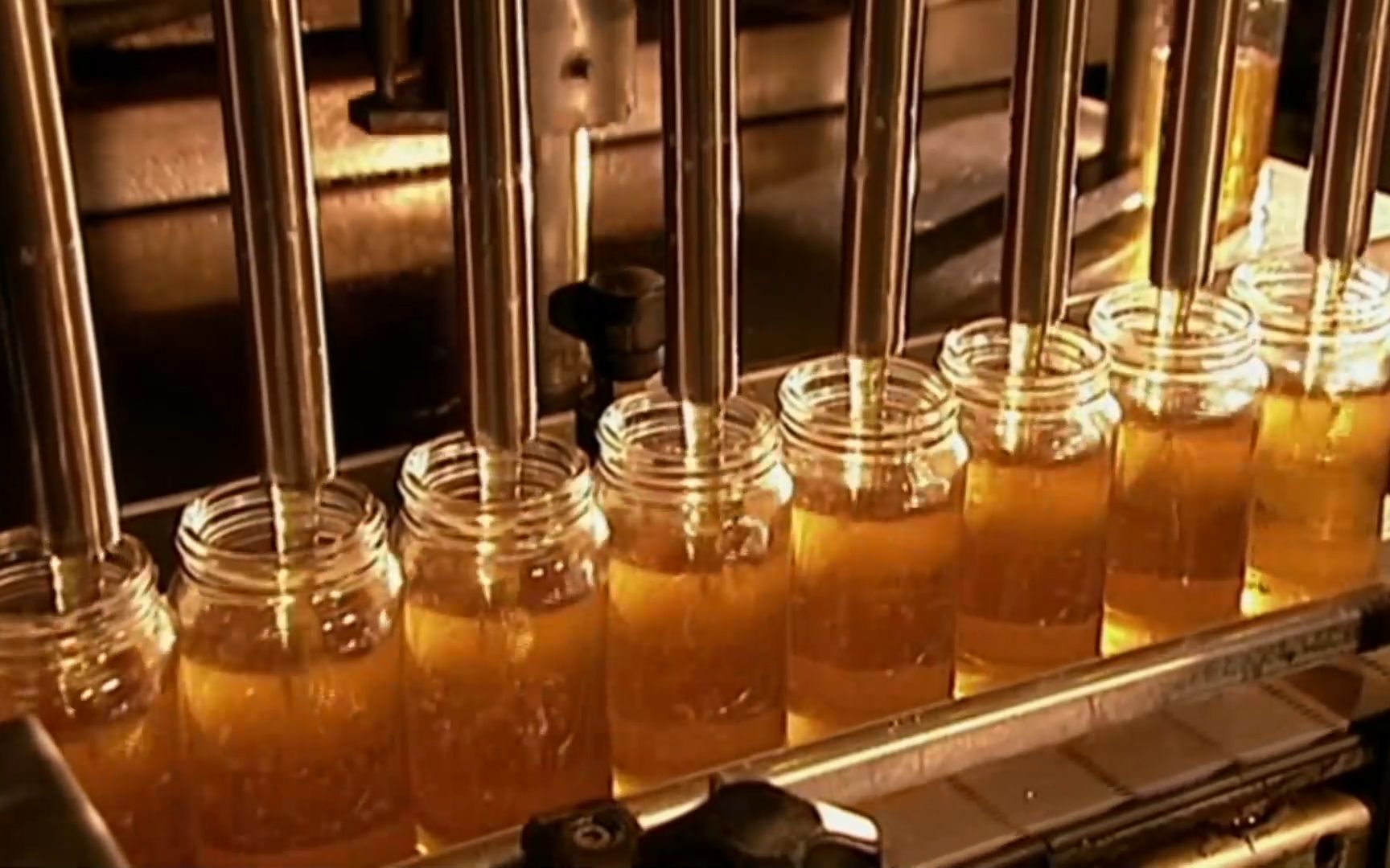 一分钟带你了解蜂蜜生产的全过程