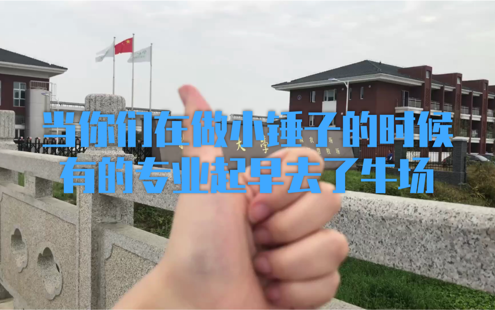 动物医学的我们在干啥vlog牛场with me哔哩哔哩bilibili