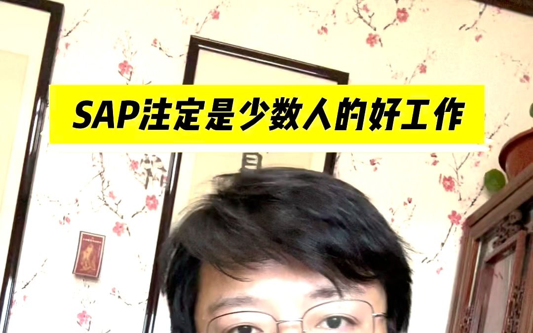 SAP注定是少数人的好工作哔哩哔哩bilibili