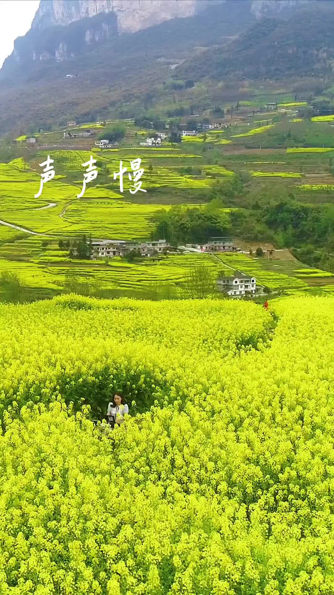 青砖伴瓦漆白马踏新泥钢琴音乐户外经典老歌湖北星旅播