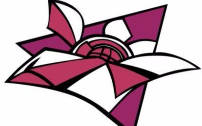 全职高手百花战队简介