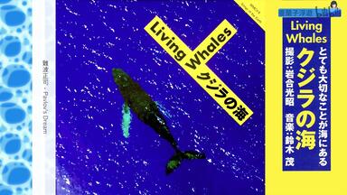 TRADE LOVE『paradise door』CD Rare Trade Love Album Paradise Door Y4 | eBay