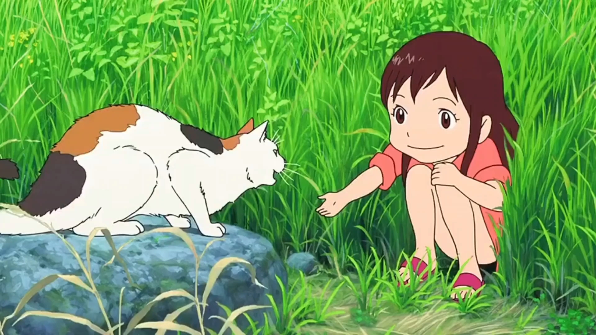 "学会坦然,勇于接受不完美的自己,无论脆弱,或者其他的,那都是自己.