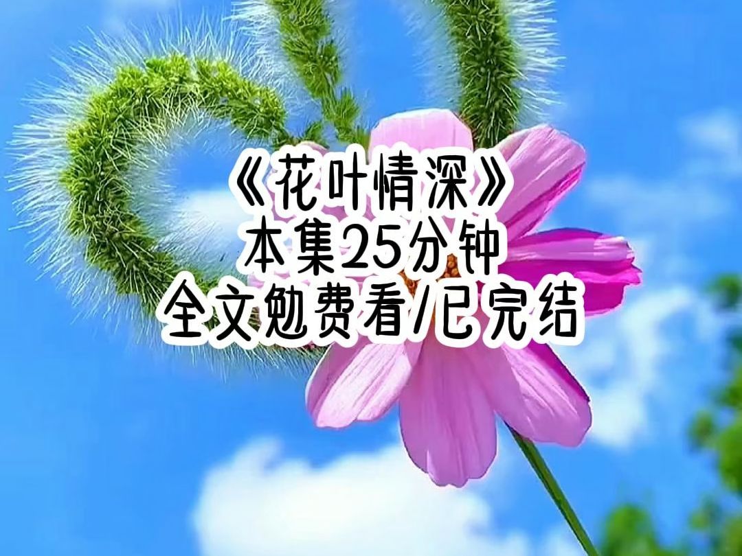 花叶情深#超级好看#热搜#文荒推荐#高评分哔哩哔哩bilibili