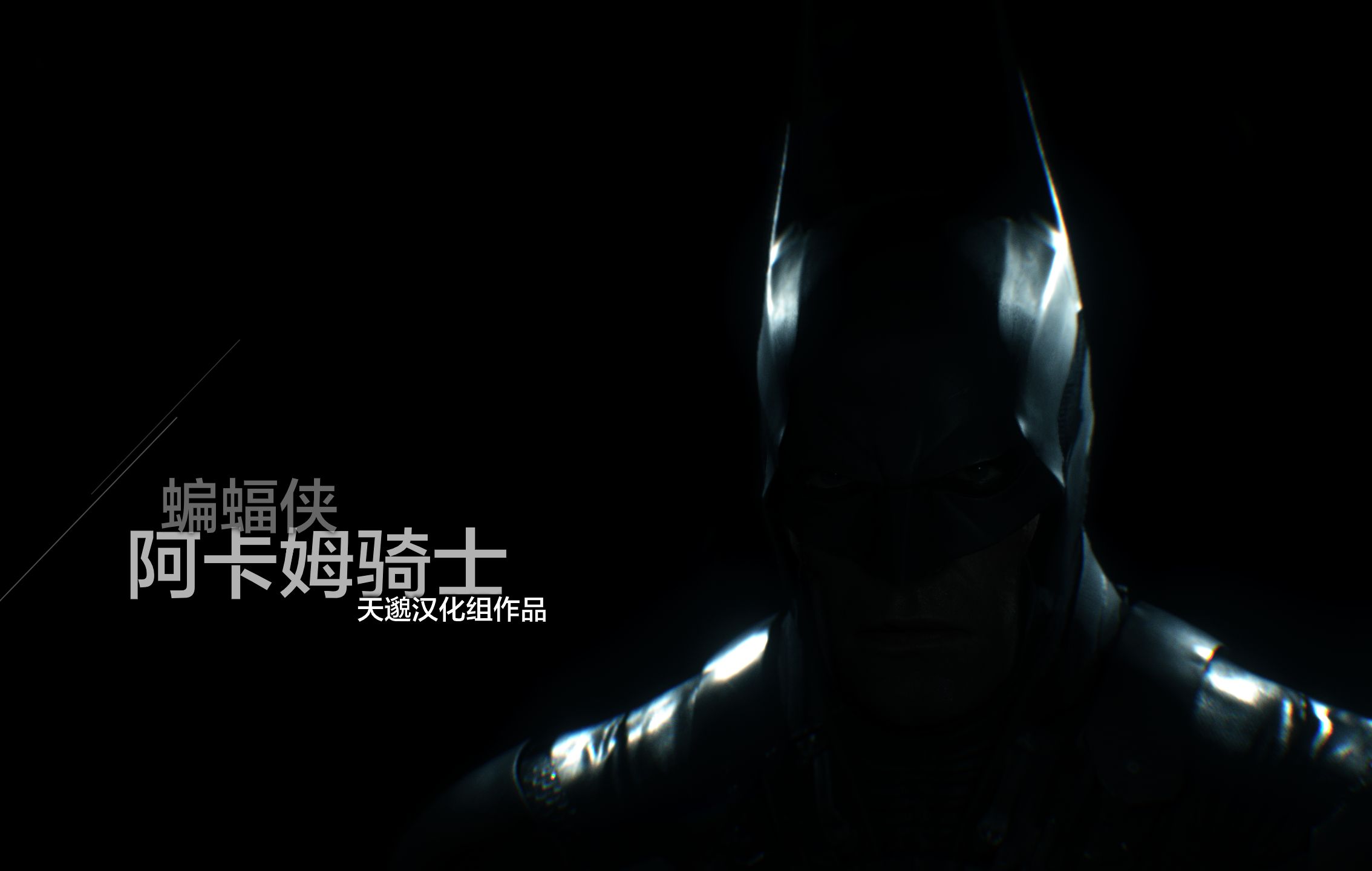 蝙蝠侠阿甘骑士-4