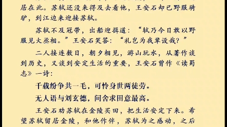 苏轼与王安石,从敌人到知己,这是属于士大夫的浪漫#苏轼#王安石#诗词哔哩哔哩bilibili