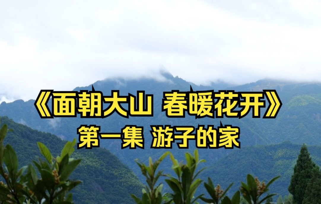 耗时两个月,回老家拍出人生第一部纪录片,《面朝大山 春暖花开》第一集 游子的家哔哩哔哩bilibili