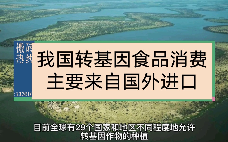 美国转基因作物种植面积全球第一,我国转基因食品消费则主要来自海外进口哔哩哔哩bilibili