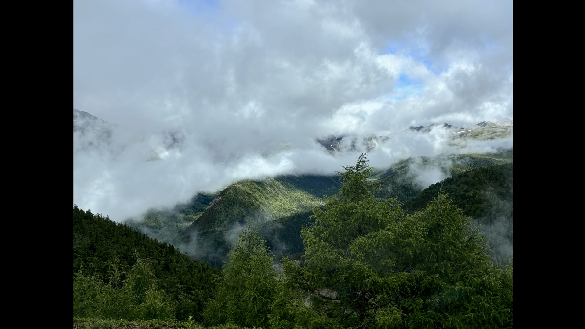 七彩云南 我的快乐老家