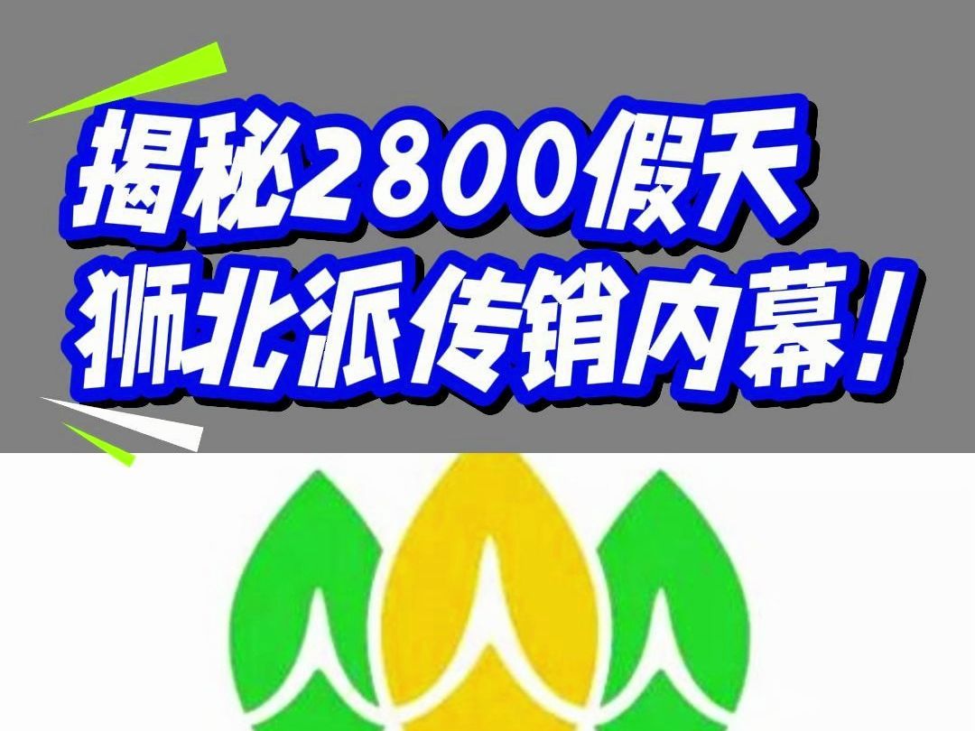 揭秘2800“假天狮”北派传销哔哩哔哩bilibili