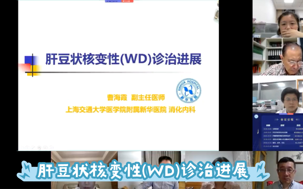 [图]肝豆状核变性(wd)诊治进展