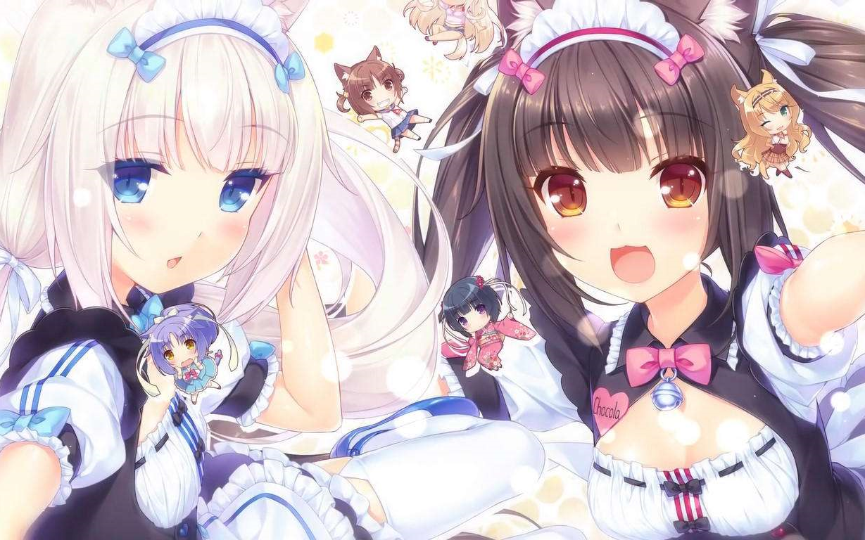 [图]NEKOPARA 5