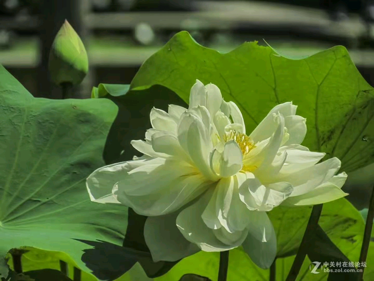 花开花落知多少~~~哔哩哔哩bilibili