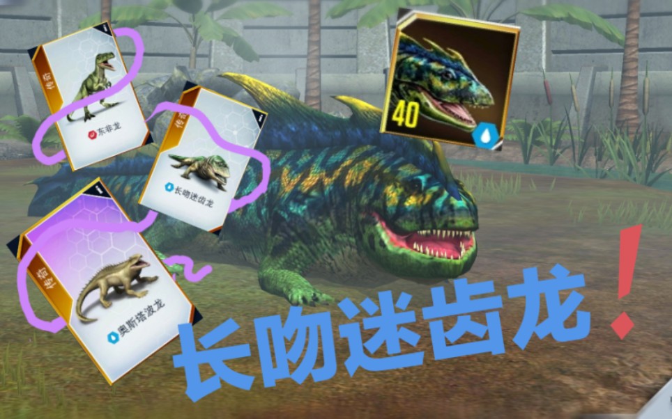 长吻迷齿龙满级可以用和奥斯塔波龙89次介绍奥斯塔波龙