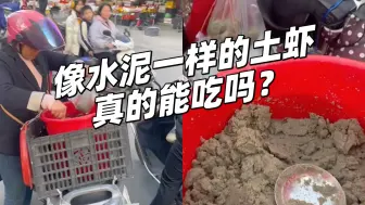 Tải video: 长得像“水泥”一样的虾，竟是潮汕罕见美食，有钱不一定能吃到！