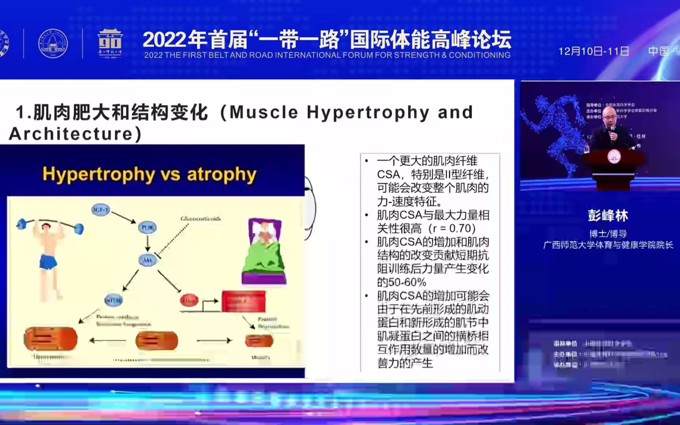 肌肉力量及其训练——彭峰林哔哩哔哩bilibili