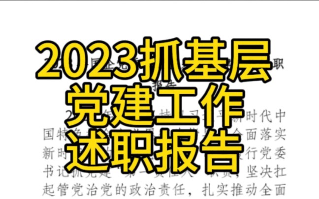 2023年国企党委书记抓基层党建工作述职报告哔哩哔哩bilibili