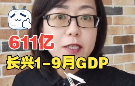 长兴,2022年19月GDP611.89亿哔哩哔哩bilibili