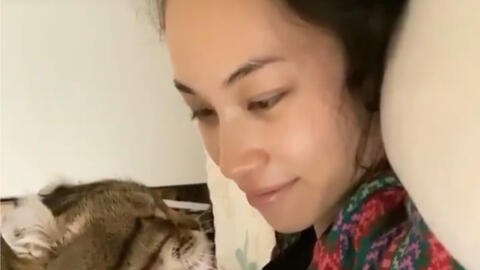 水原希子 像猫一样的女人 撸猫人的快乐 哔哩哔哩