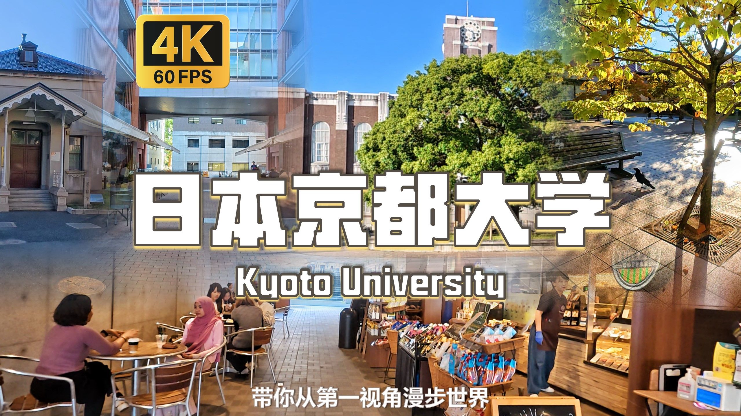 日本历史上的第二所高等教育机构 全球G30重点大学 附参观申请攻略 沉浸式漫步第一视角 |【4K60帧】【日本京都大学】白噪音 环境音 POV哔哩哔哩bilibili