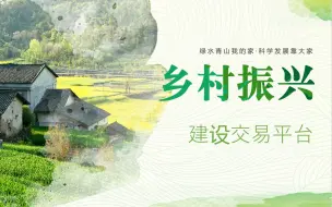 Download Video: 乡村振兴创业计划书PPT