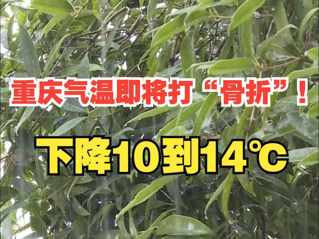 明天傍晚起强降温降雨来袭,重庆日平均气温将下降10到14℃,大家要注意防范!哔哩哔哩bilibili