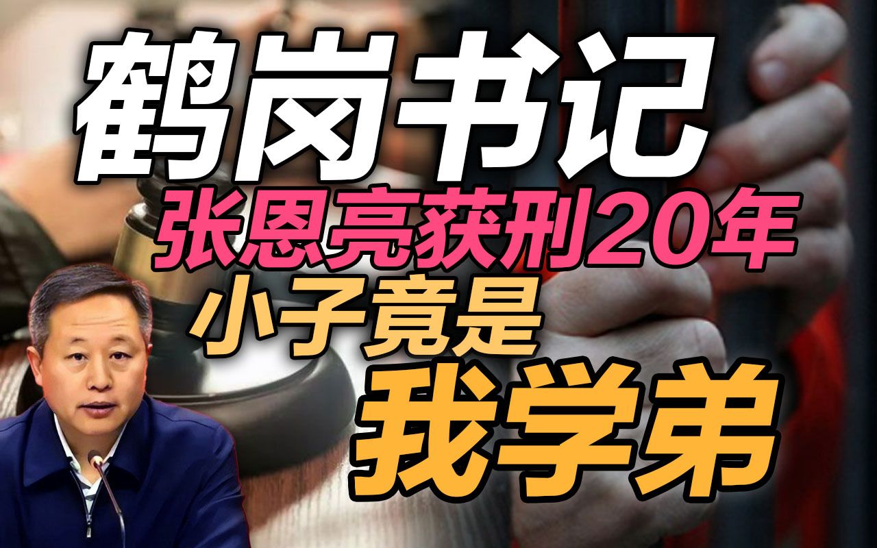 司马南:鹤岗书记张恩亮获刑20年,小子竟是我学弟哔哩哔哩bilibili