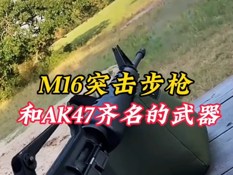 和AK47齐名的武器,M16突击步枪#军事科普 #武器科普 #军迷发烧友哔哩哔哩bilibili