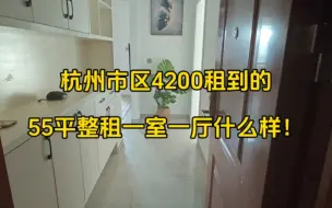 Download Video: 杭州市区4200租到的55平米整租一室一厅什么样！