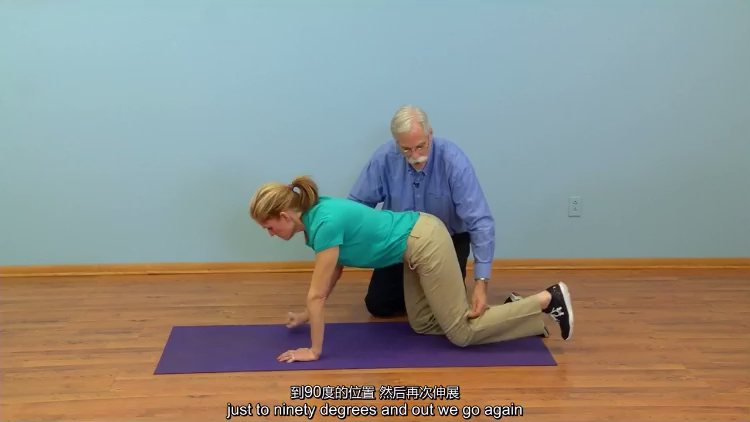 mcgill讲猎鸟狗式