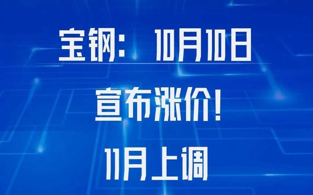 宝钢:10月10日宣布涨价!11月上调500550元/吨!哔哩哔哩bilibili