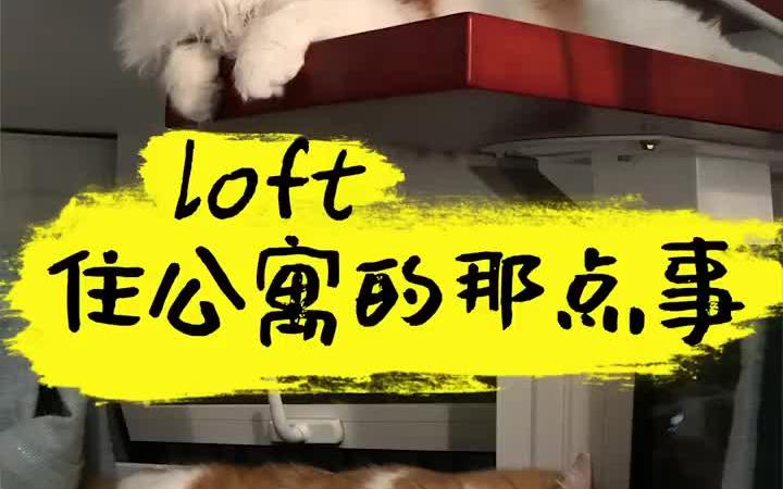 住公寓loft的真实体验,说几个闹心的地方哔哩哔哩bilibili