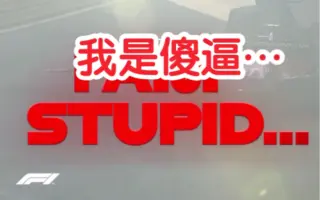 stupid表情包图片