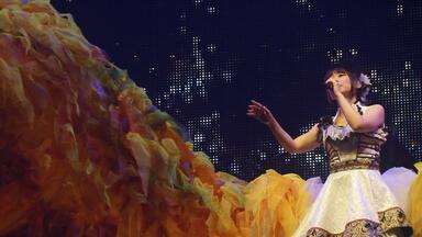 水樹奈々】NANA MIZUKI 2006 LIVEDOM -BIRTH- at BUDOKAN 全場繁