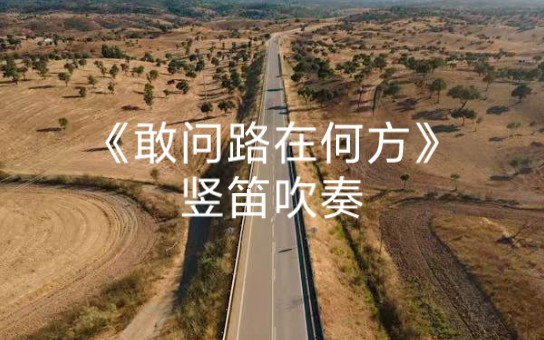 笛音出画意,韵律慰人心 《敢问路在何方》竖笛吹奏.