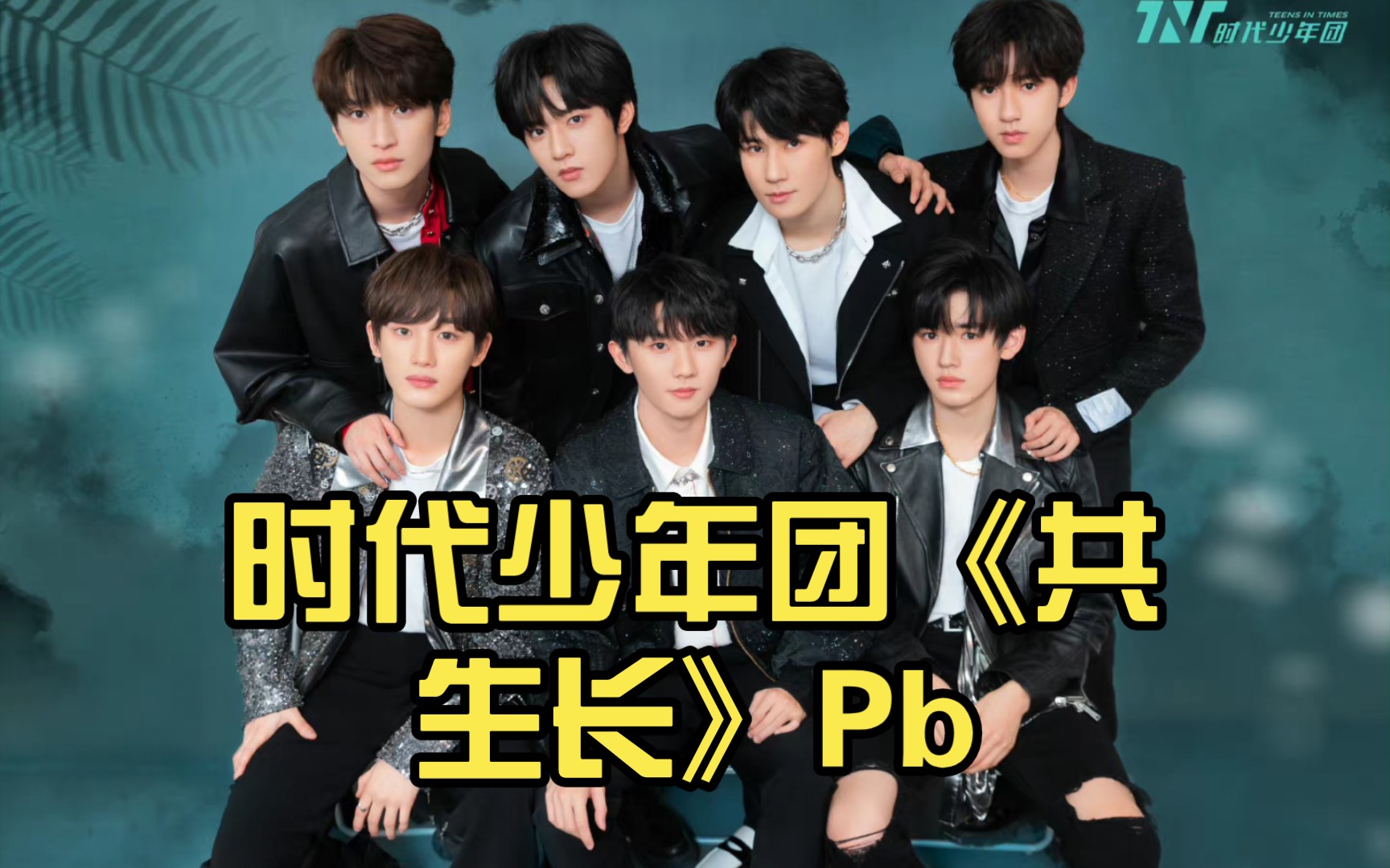 时代少年团《共生长》pb
