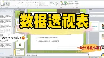 数据透视表