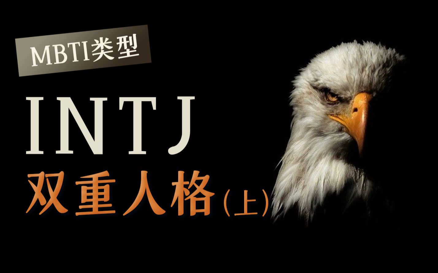 [图]【MBTI】INTJ为什么都是双重人格？（上）