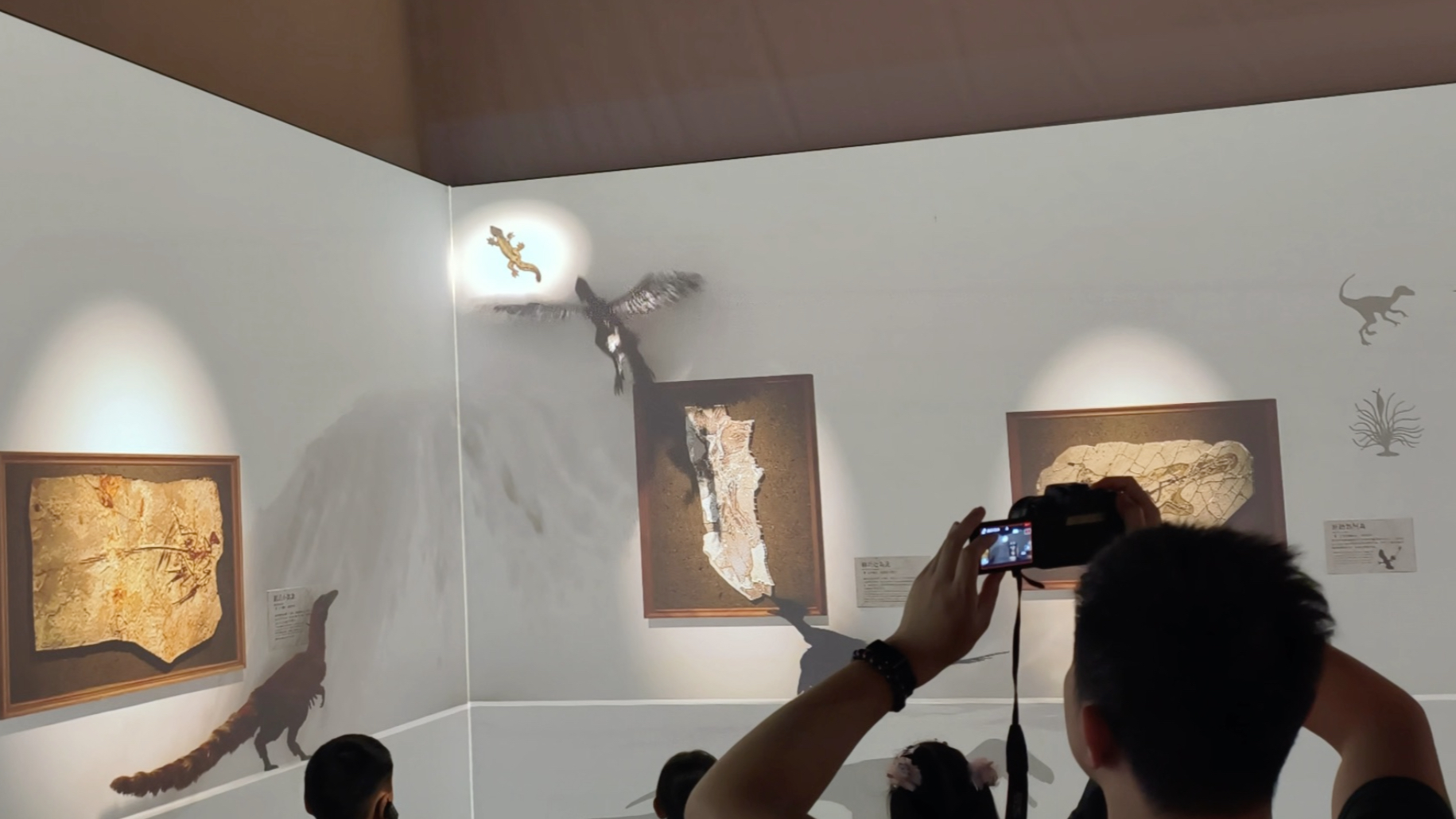 博物馆里怎么有鸟飞进来了还抓壁虎呢