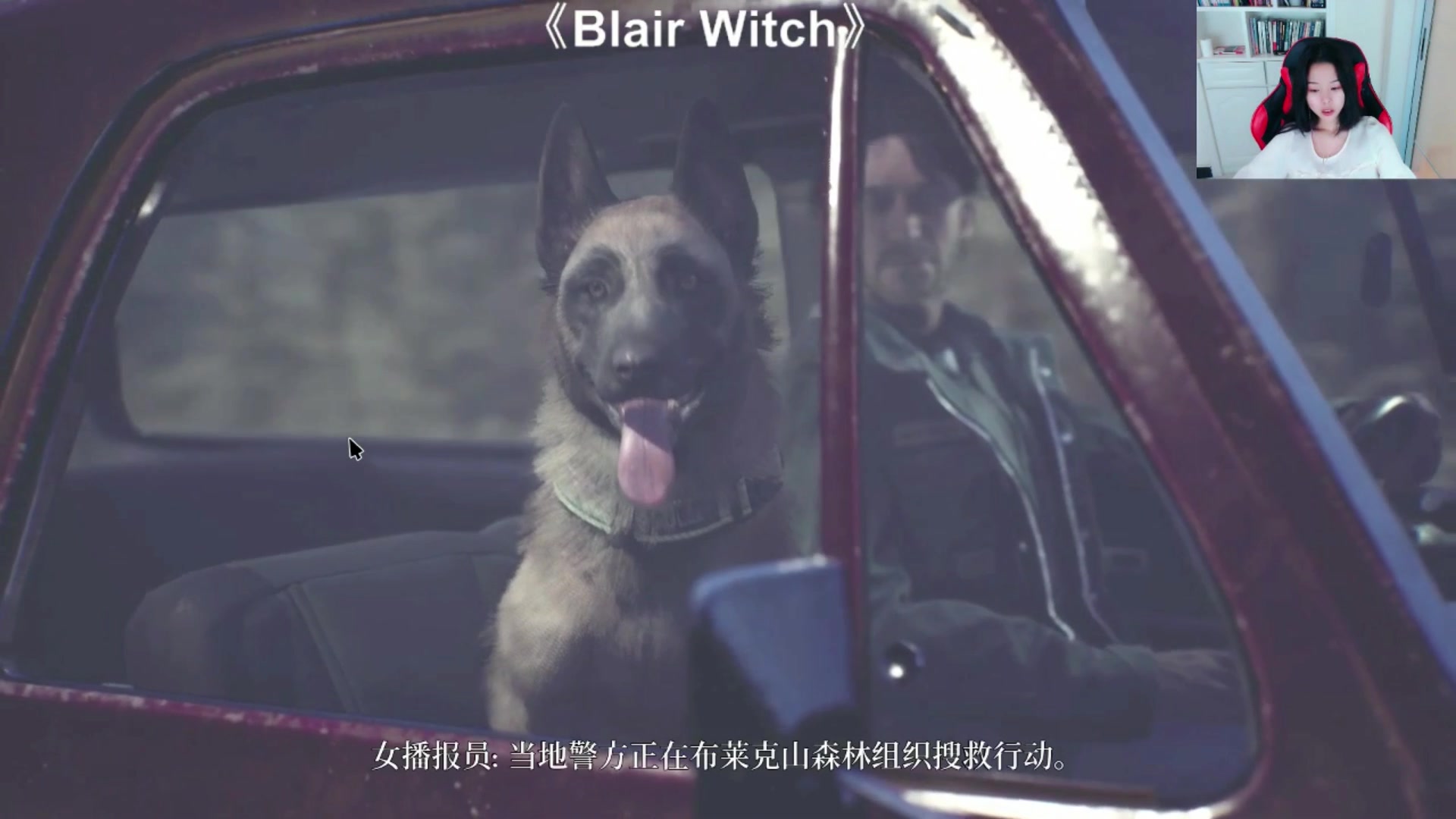 [图]《女巫布莱尔》电影改编的恐怖游戏 Blair Witch，柳鸽直播实况，