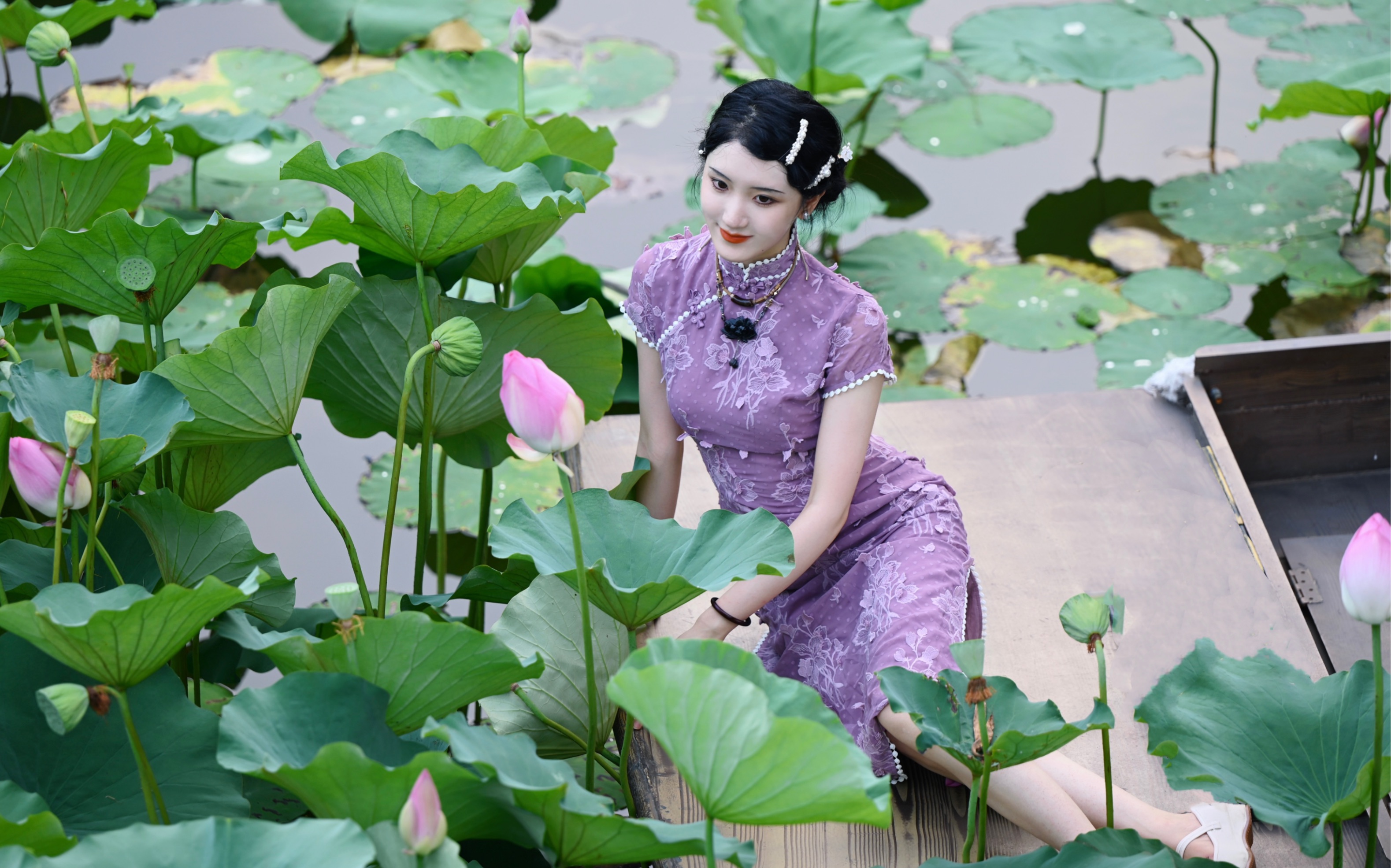 [图]朋友都说我穿旗袍好绝～晚风吻尽荷花叶，后院满池荷花香。把北京拍成江南水乡的味道了！