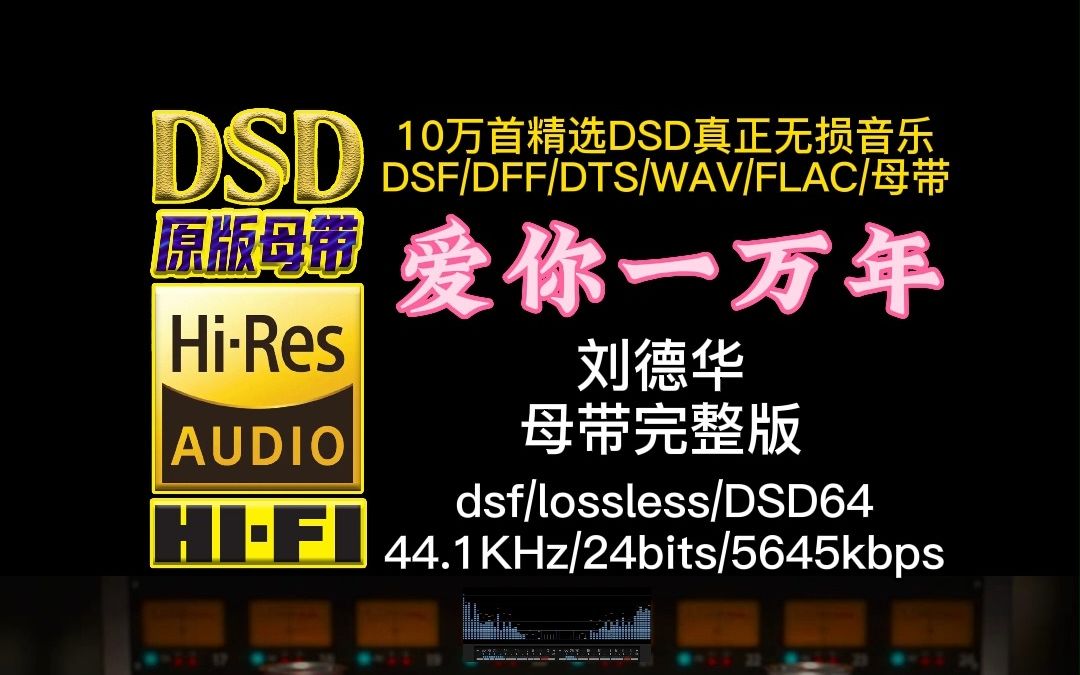 520刘德华《爱你一万年》真正DSD完整版,此曲征服了无数憧憬在爱情里的人们【10万首精选真正DSD无损HIFI音乐,百万调音师制作】哔哩哔哩bilibili