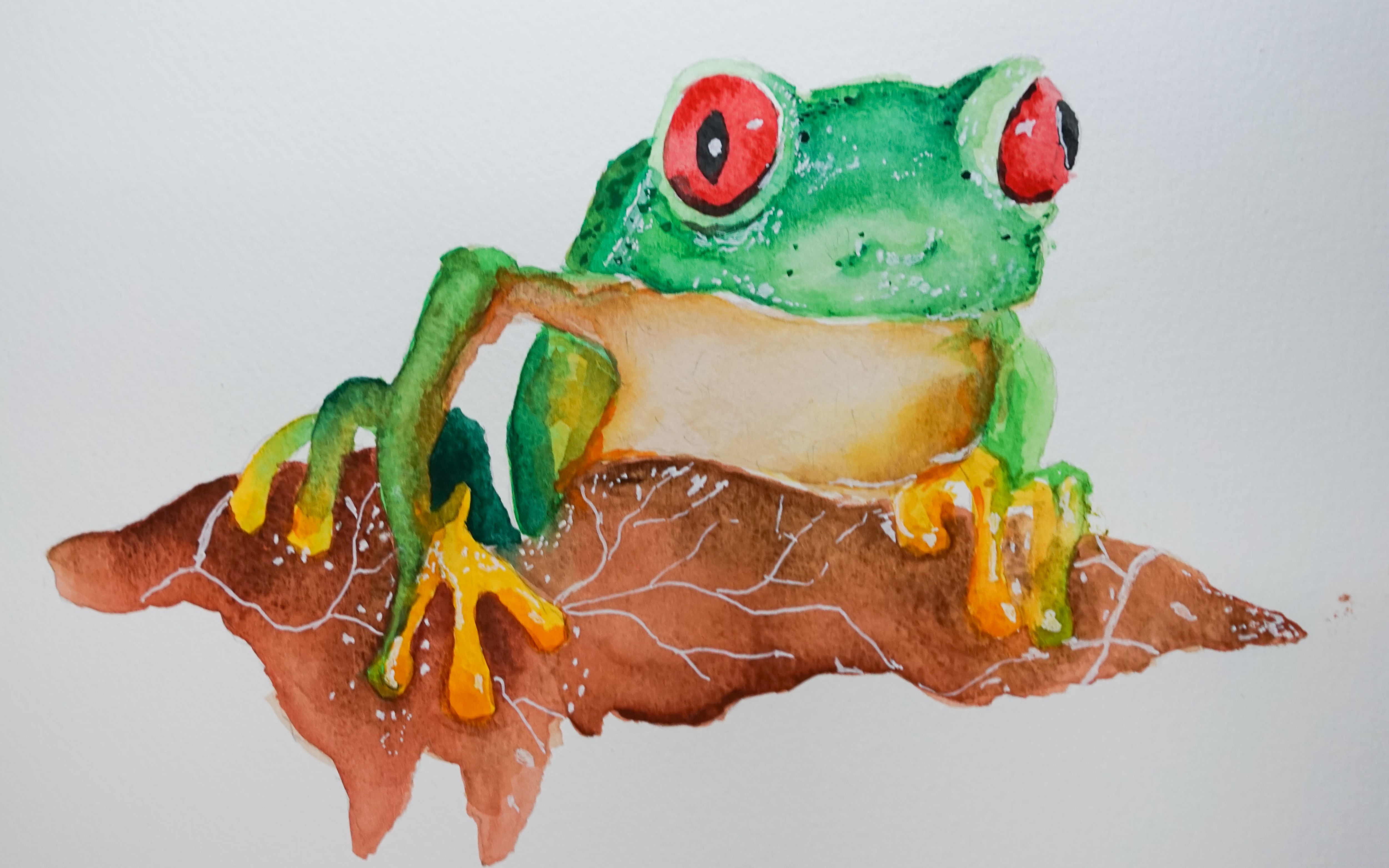 用水彩画一只蛙——10倍速