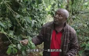 Download Video: 为什么单一产地（Single Origin Coffee）的咖啡这么贵？