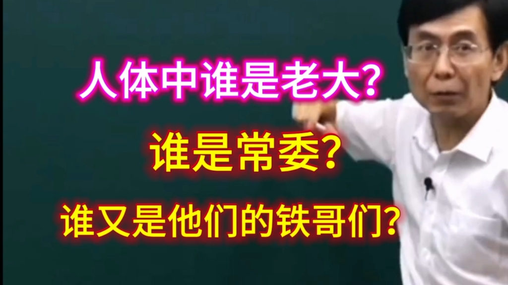 张景明教授真厉害,他把人体这台复杂的机器,几个比喻,瞬间让你秒懂哔哩哔哩bilibili