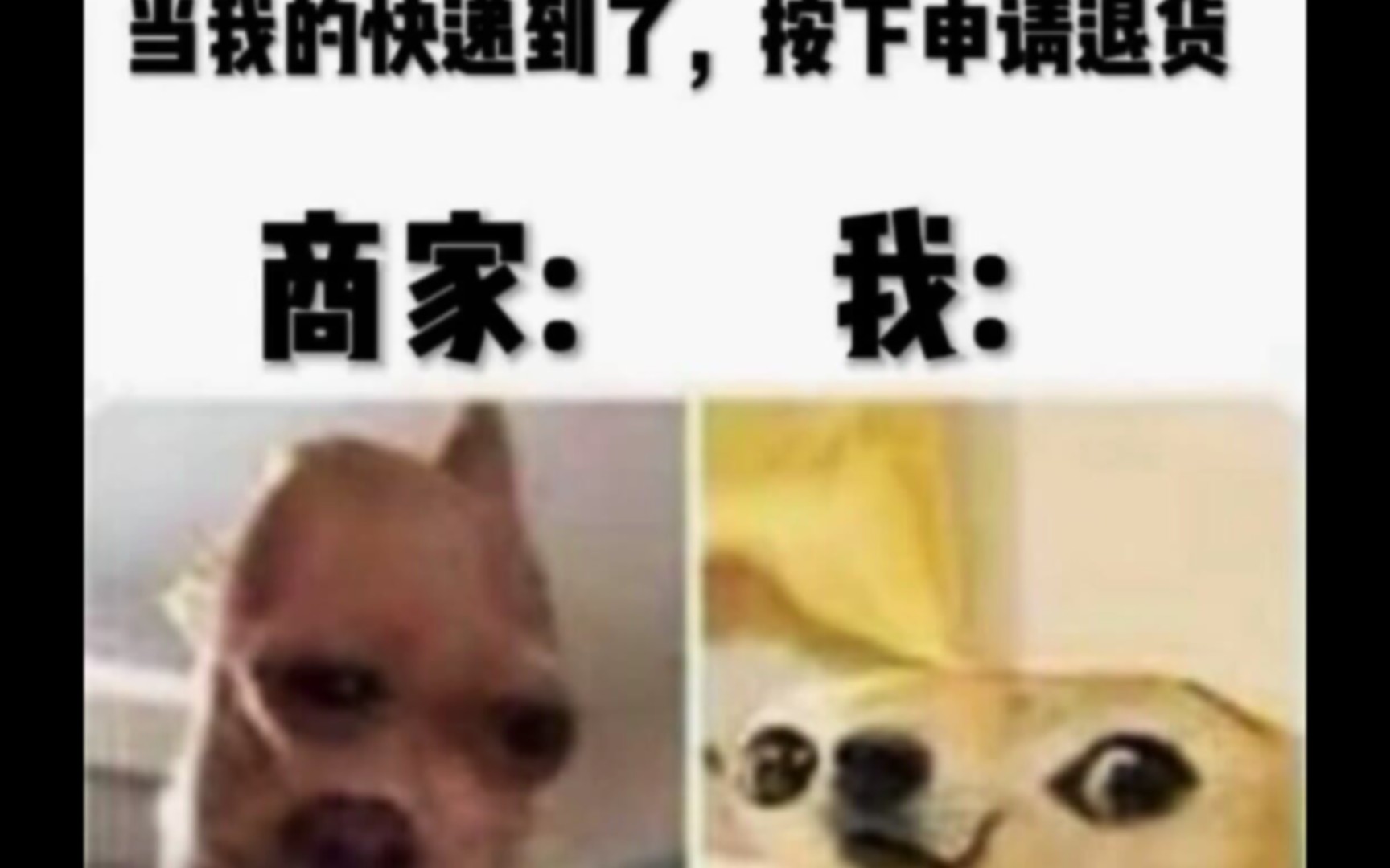 人间真实沙雕梗图