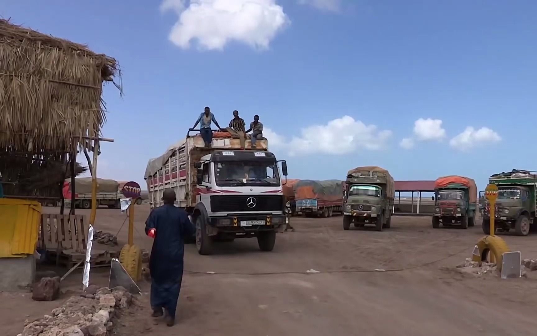 非洲卡车司机玩命开车,累了全靠这种植物提神