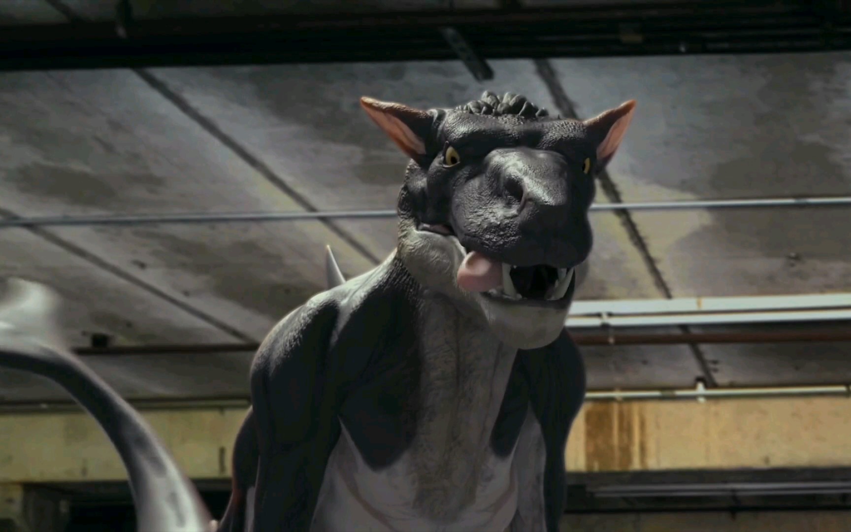 狼鲸可不能随便养_哔哩哔哩_bilibili