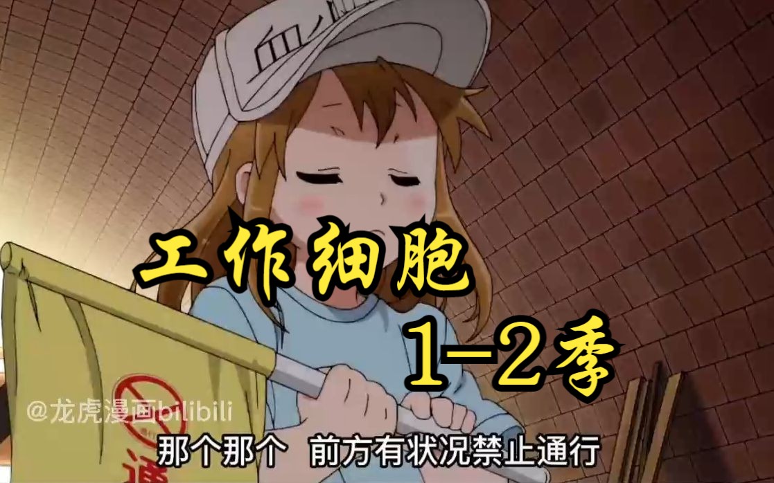一口气看完《工作细胞1-2季》