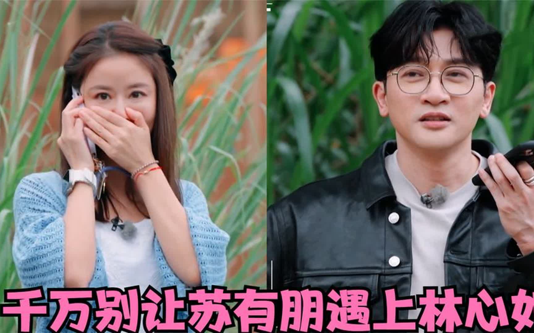 千万别让苏有朋遇上林心如:俩人一个敢说一个敢接,杨紫笑到飙泪